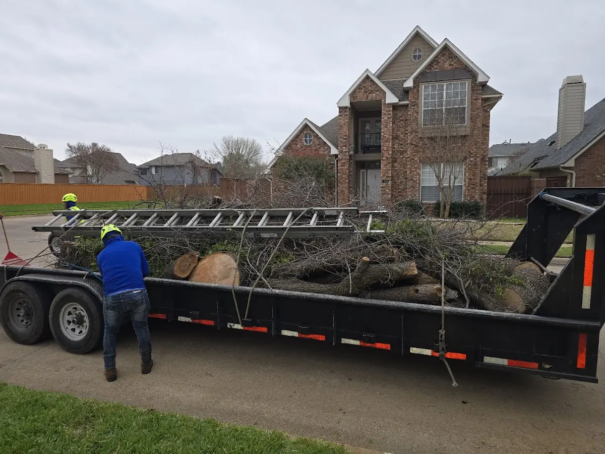 Expert Lot Clearing with proper safety equipment in Imperial